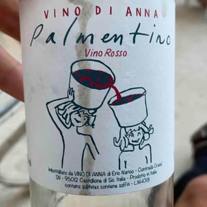 Vino di Anna - Anna Martens & Eric Narioo - Palmentino