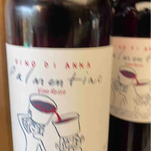Palmentino - Vino di Anna - Anna Martens & Eric Narioo 