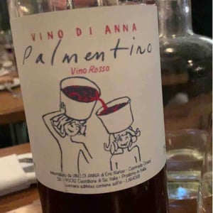 Palmentino - Vino di Anna - anna-martens-eric-narioo