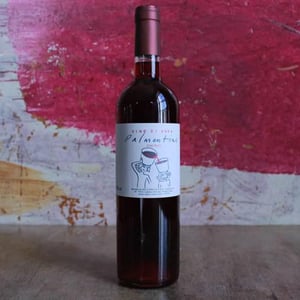 Palmentino - Vino di Anna - anna-martens-eric-narioo