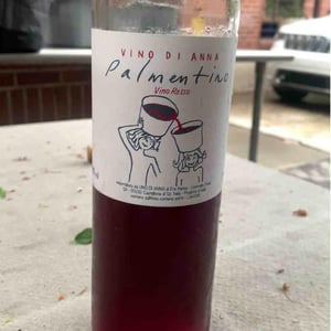 Palmentino - Vino di Anna - Anna Martens & Eric Narioo 