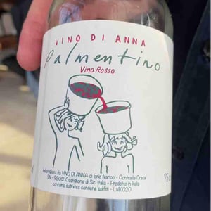 Palmentino - Vino di Anna - Anna Martens & Eric Narioo 