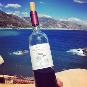 Palmentino