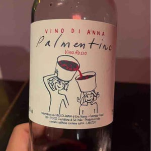 Palmentino - Vino di Anna - Anna Martens & Eric Narioo 