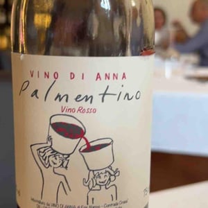 Palmentino - Vino di Anna - Anna Martens & Eric Narioo 