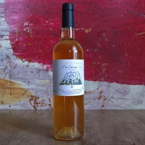 Palmento Bianco - Vino di Anna - anna-martens-eric-narioo