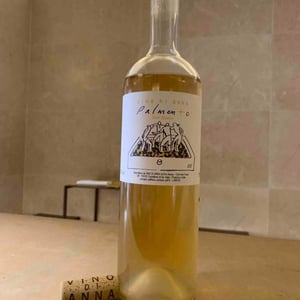 Palmento Bianco - Vino di Anna - Anna Martens & Eric Narioo 