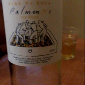 Vino di Anna - Anna Martens & Eric Narioo - Palmento Bianco