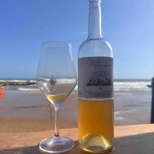 Vino di Anna - Anna Martens & Eric Narioo - Palmento Bianco