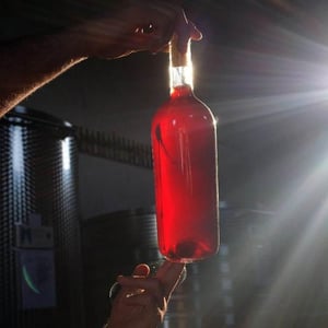 Palmento Rosso - Vino di Anna - Anna Martens & Eric Narioo 