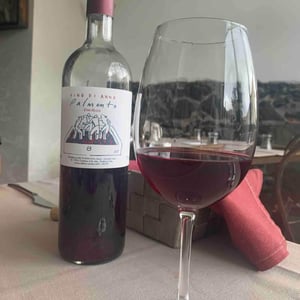 Vino di Anna - Anna Martens & Eric Narioo - Palmento Rosso