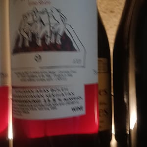 Palmento Rosso - Vino di Anna - Anna Martens & Eric Narioo 