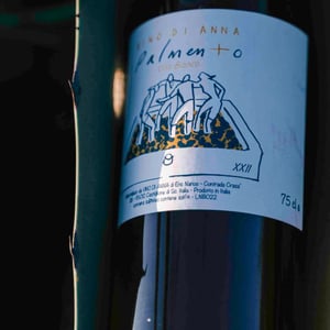 Vino di Anna - Anna Martens & Eric Narioo - Palmento Bianco