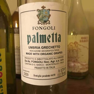 Palmetta - Fongoli - Angelo Fongoli -2020