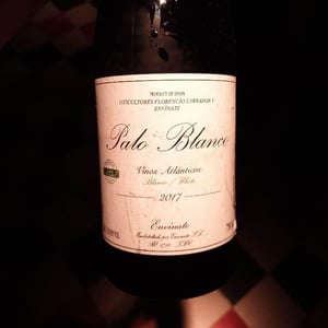 Palo Blanco 2017 - Envínate - Roberto Santana, Alfonso Torrente, Laura Ramos & José Martínez -2020
