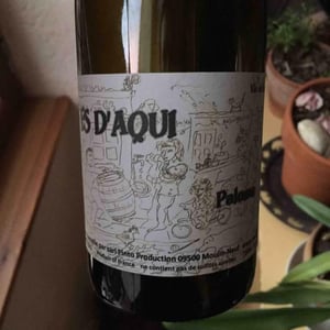 Paloma - Es d'Aqui - jean-louis-pinto