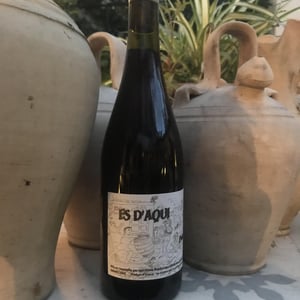 Paloma - Es d'Aqui - jean-louis-pinto