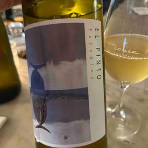 El Pinto - Vino de la tierra de cadix - Ricardo Rebuelta González -2022