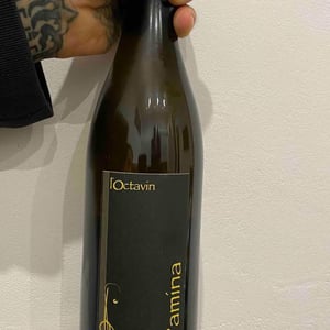 Pamína - Domaine de l'Octavin - Alice Bouvot 