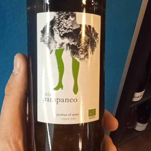 Pampaneo Airén - Esencia Rural - Julián Ruiz 