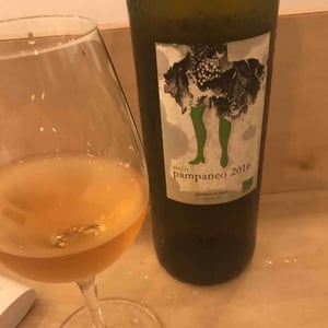 Pampaneo Airén - Esencia Rural - Julián Ruiz 