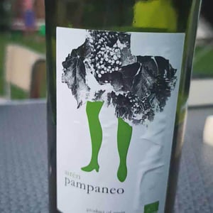 Pampaneo Airén - Esencia Rural - julian-ruiz