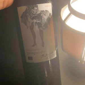 Pampaneo Tempranillo - Esencia Rural - Julián Ruiz 