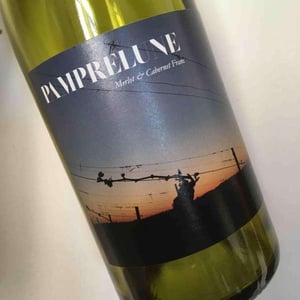 Pamprelune - Vignoble Bucquet - Ludovic Bucquet 