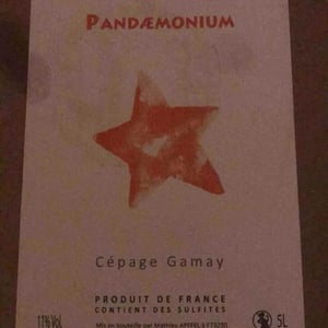 Pandæmonium - Mathieu Apffel - Camille & Mathieu Apffel 