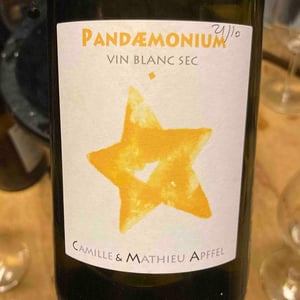 Pandæmonium Blanc - Mathieu Apffel - camille-mathieu-apffel -2022