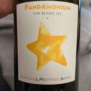 Pandæmonium Blanc - Mathieu Apffel - Camille & Mathieu Apffel -2022