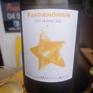 Pandæmonium Blanc - Mathieu Apffel - Camille & Mathieu Apffel -2022