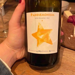 Pandæmonium Blanc - Mathieu Apffel - camille-mathieu-apffel -2022