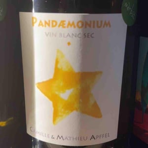 Pandæmonium Blanc - Mathieu Apffel - camille-mathieu-apffel -2022