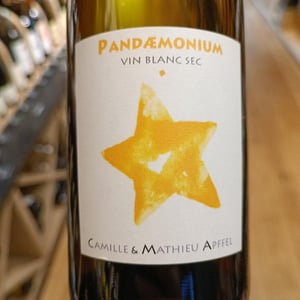 Pandæmonium Blanc - Mathieu Apffel - camille-mathieu-apffel -2022