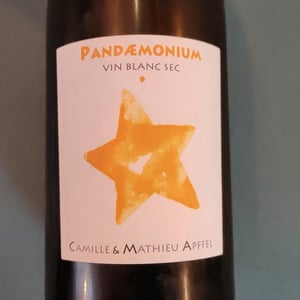 Pandæmonium - Mathieu Apffel - camille-mathieu-apffel