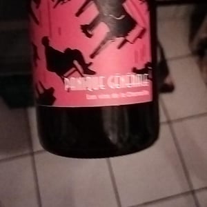 Panique Générale - Les Vins de la Chamaille - myriam-filleton-pierre-gobet