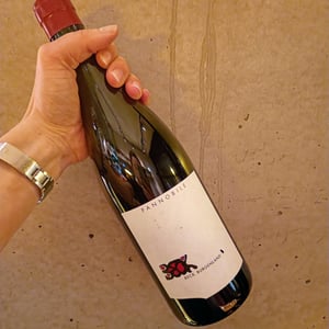 Pannobile - Weingut Beck - judith-beck