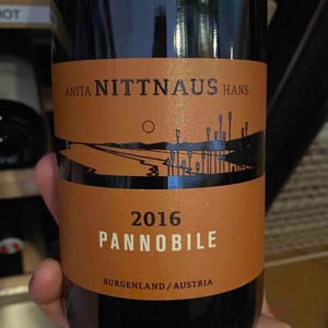 Pannobile - Hans & Anita Nittnaus - Hans & Anita Nittnaus -2016