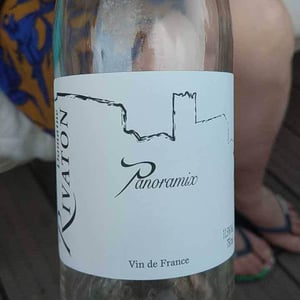Domaine Rivaton - Frédéric Rivaton - Panoramix