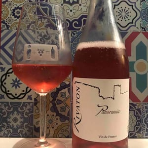 Domaine Rivaton - Frédéric Rivaton - Panoramix
