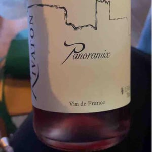 Panoramix - Domaine Rivaton - Frédéric Rivaton 