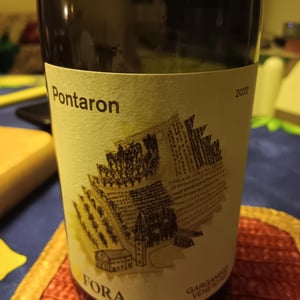 Pantaron - Fora Wines - Giovanni Bottazzi, Simone Fanton 