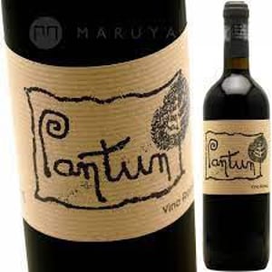 Pantun Bianco - Cantina Pantun - Domenico Caragnano -2019