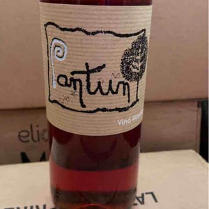 Pantun Rosato - Cantina Pantun - domenico-caragnano