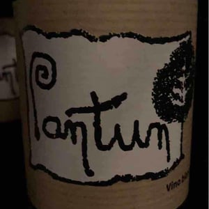 Pantun Rosato - Cantina Pantun - Domenico Caragnano 