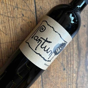 Pantun Rosso - Cantina Pantun - domenico-caragnano