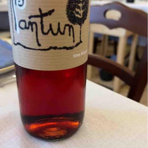Pantun Rosso - Cantina Pantun - domenico-caragnano
