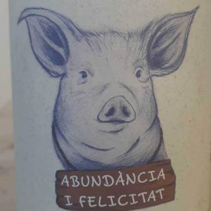 Celler Tuets - Albert Domingo - Panxu