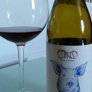 Panxu - Celler Tuets - Albert Domingo 